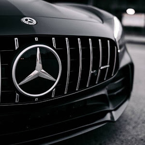 תמונת משתמש