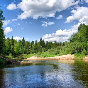 תמונת משתמש
