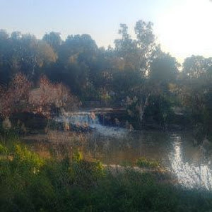 תמונת משתמש