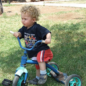 תמונת משתמש