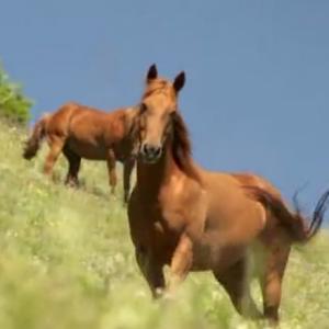 תמונת משתמש