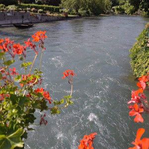 תמונת משתמש