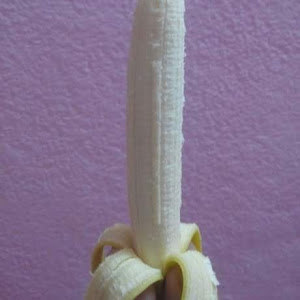 תמונת משתמש