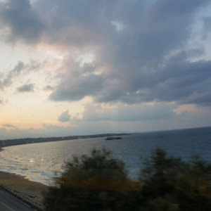 תמונת משתמש