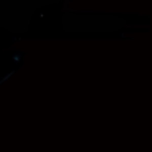 addielev0 - תמונה