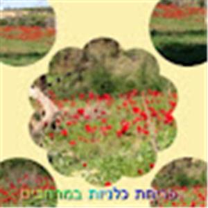 גיא ואדווה photo