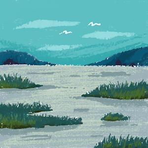 תמונת משתמש