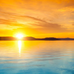 תמונת משתמש