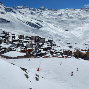 תמונת משתמש