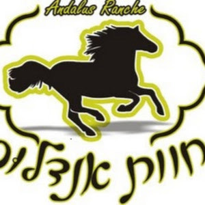 תמונת משתמש