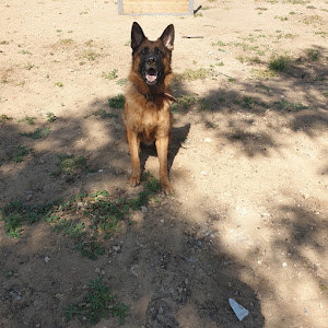 תמונת משתמש