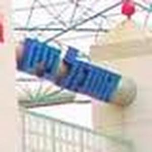 eshkolpis - תמונה