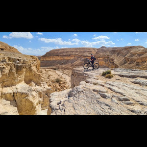 תמונת משתמש