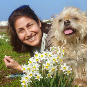 תמונת משתמש