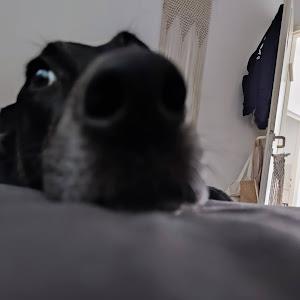 תמונת משתמש