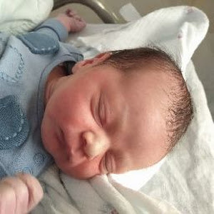 תמונת משתמש