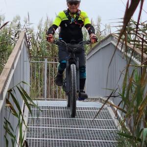 תמונת משתמש