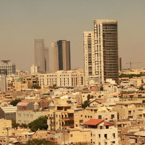 reut.arviv