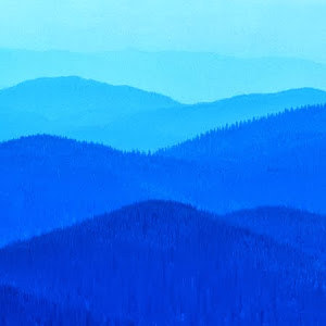 תמונת משתמש