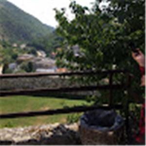 תמונת משתמש