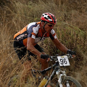 danimor50 - תמונה