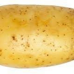 תמונת משתמש