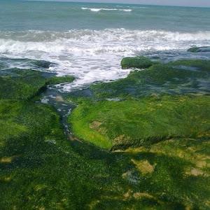 תמונת משתמש