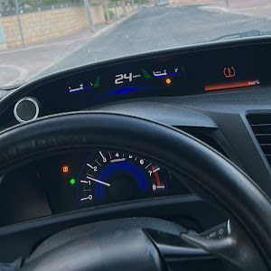 odel03102 - תמונה