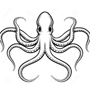 תמונת משתמש