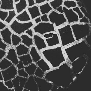 תמונת משתמש