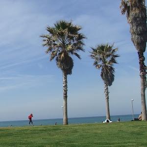 aviya657 - תמונה