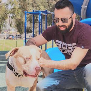 תמונת משתמש