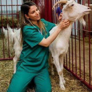 תמונת משתמש