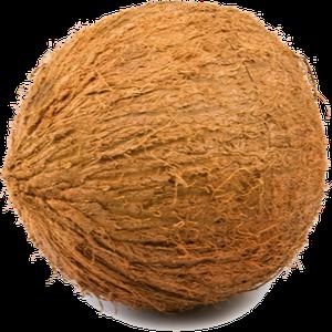 תמונת משתמש