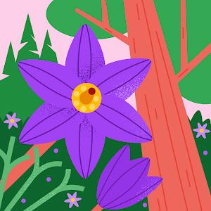 תמונת משתמש