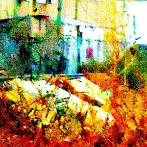 תמונת משתמש