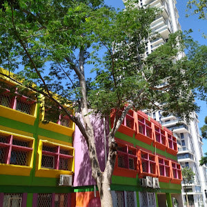 תמונת משתמש