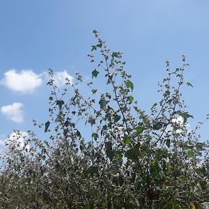 תמונת משתמש