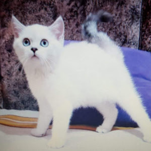 תמונת משתמש