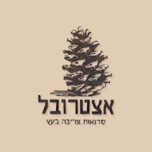 תמונת משתמש