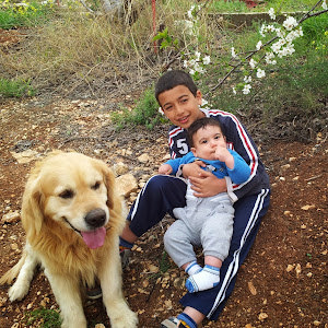 תמונת משתמש