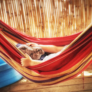 תמונת משתמש