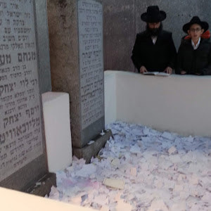 תמונת משתמש