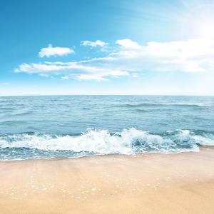 תמונת משתמש