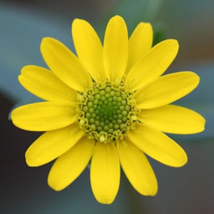 תמונת משתמש