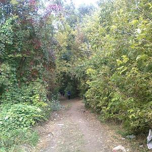 תמונת משתמש