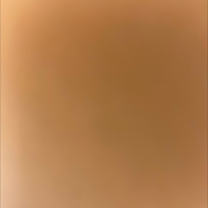 תמונת משתמש