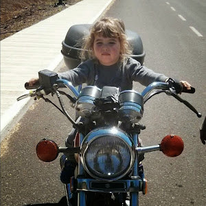 תמונת משתמש