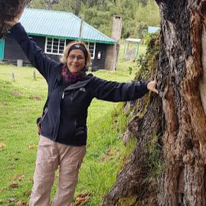 תמונת משתמש