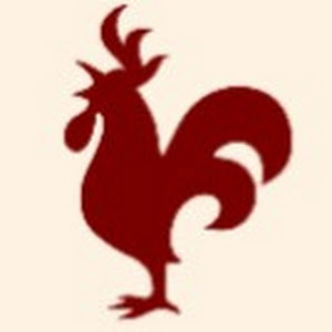 תמונת משתמש